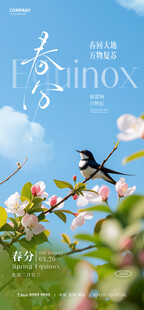 春分海报