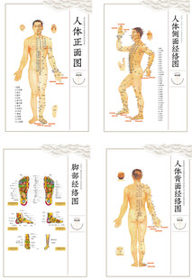 人体经络图 