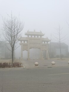 雾里小树