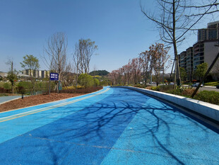 公园路