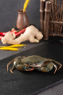 特色新鲜膏蟹