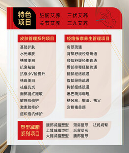 美容美体项目海报展板