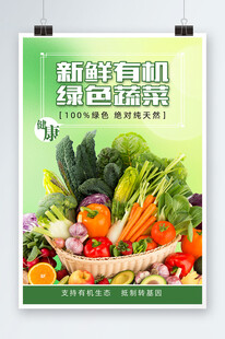 新鲜有机绿色蔬菜