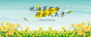 醉美油菜花活动展板