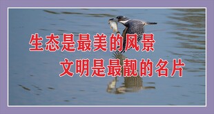 生态标语