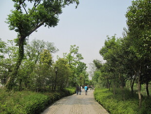 小路
