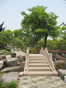 石桥