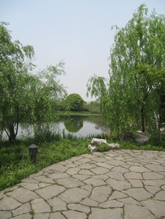 地面铺装