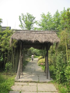 茅草门