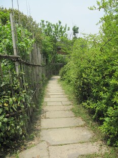 路面铺装