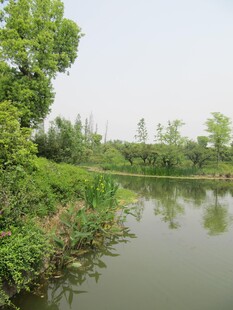 水面