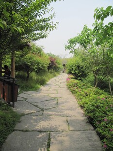 路面铺装