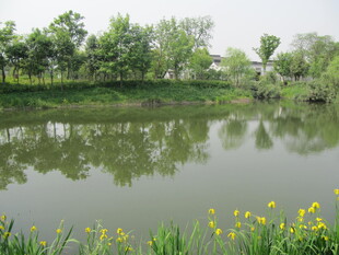 水面