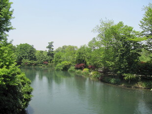 水面