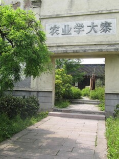 石牌 