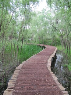 木栈道