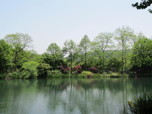 水面