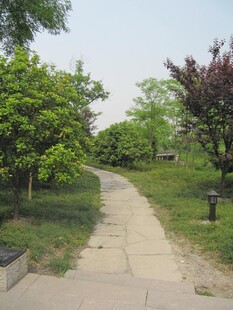 小路
