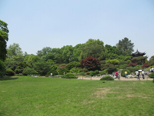 草地