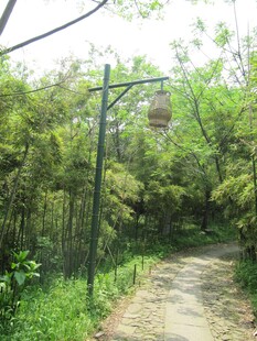 路灯