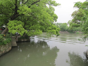 水面