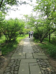 路面铺装
