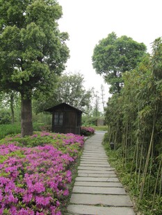 小路