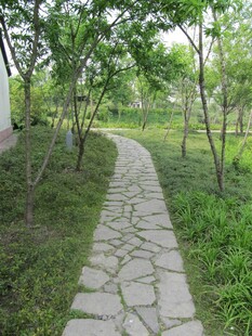 路面铺装