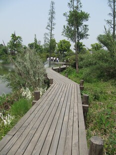 木栈道