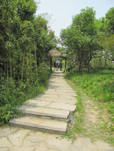 小路铺装