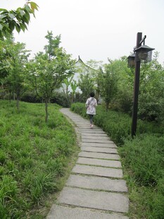 小路铺装