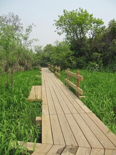 木栈道