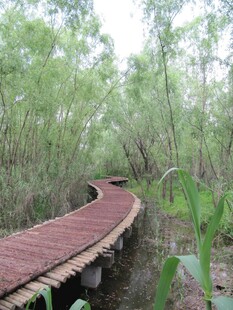 小桥