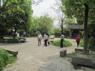 路面