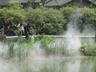 水面