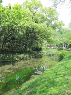 河道