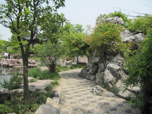 道路植物