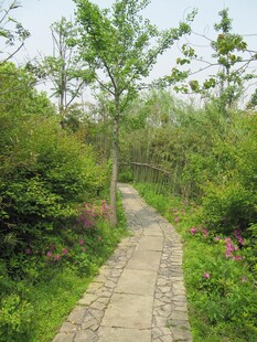 小路