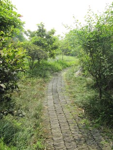 小路