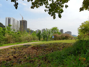 城市周边