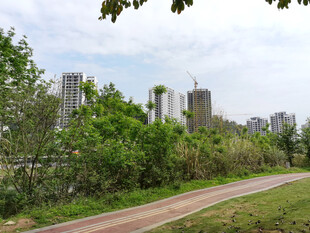 公园路