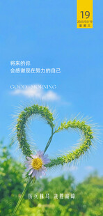 朋友圈早安图