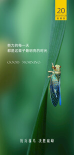 朋友圈早安图