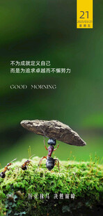 朋友圈早安图