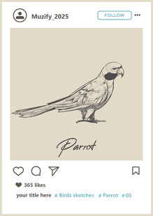 鹦鹉手绘稿