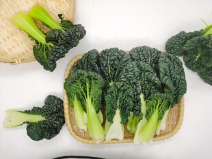 黑青菜 泡泡青
