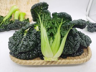 黑青菜 泡泡青
