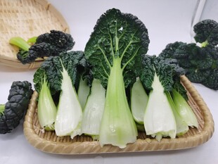 黑青菜 泡泡青