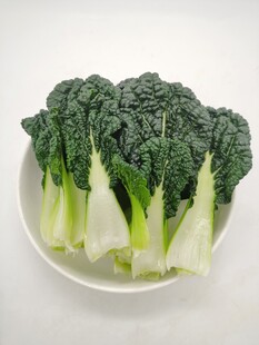 黑青菜 泡泡青