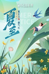 夏至节日海报